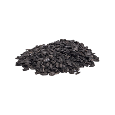 Black Oil Sunflower Seeds - Sterile