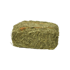 Timothy Hay Mini Bales, Certified, Gamma Irradiated