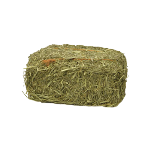 Timothy Hay Mini Bales, Certified, Gamma Irradiated S1013