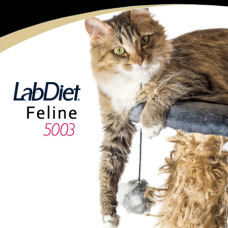 Laboratory Feline Diet 5003