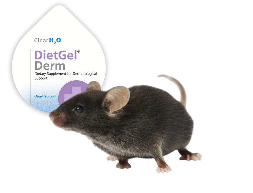 DietGel® Derm Mouse Graphic